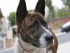maggie